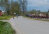 Prohlédnout kraliky17_08_t1.jpg